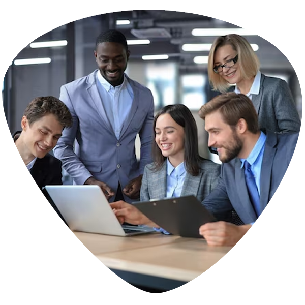 Enterprise System Implementation (ERPs, CRM, BIA, DMS, ECM, Data warehouse etc)
